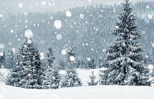 Let it snow