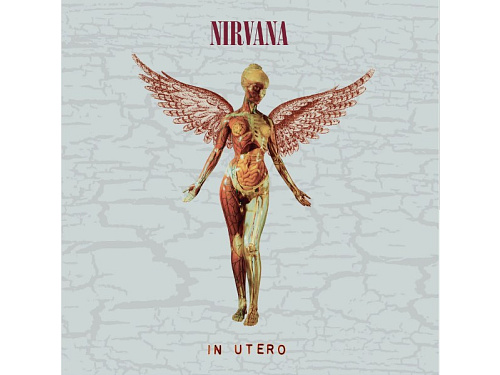 Nirvana : In Utero / 30th Anniversary / Deluxe CD